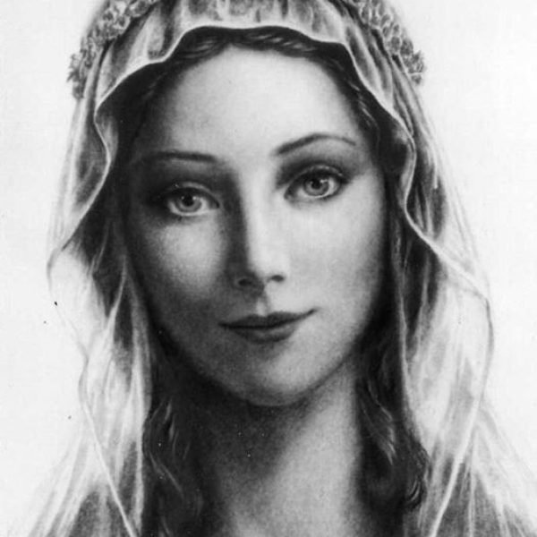 OLOE Pencil Drawing